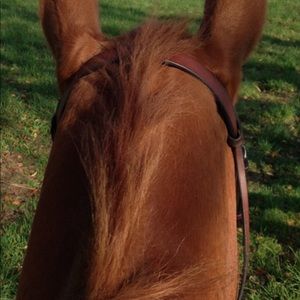 Meet your Posher, Story 23